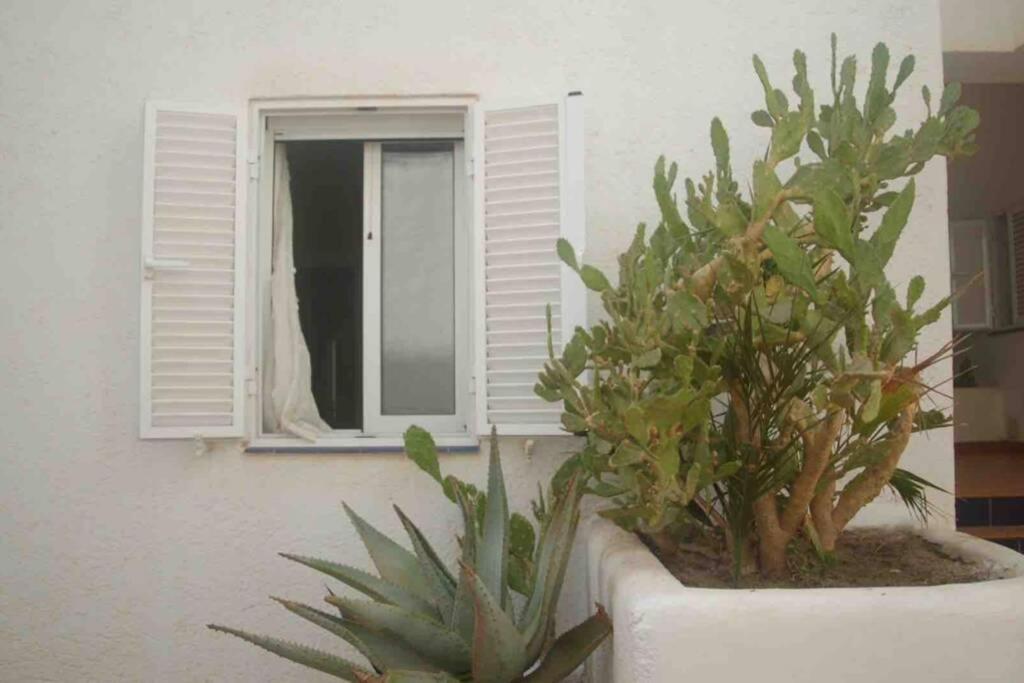 Apartamento A 2 Minutos Andando A La Playa. ลา อิสเลตา เดล โมโร ภายนอก รูปภาพ